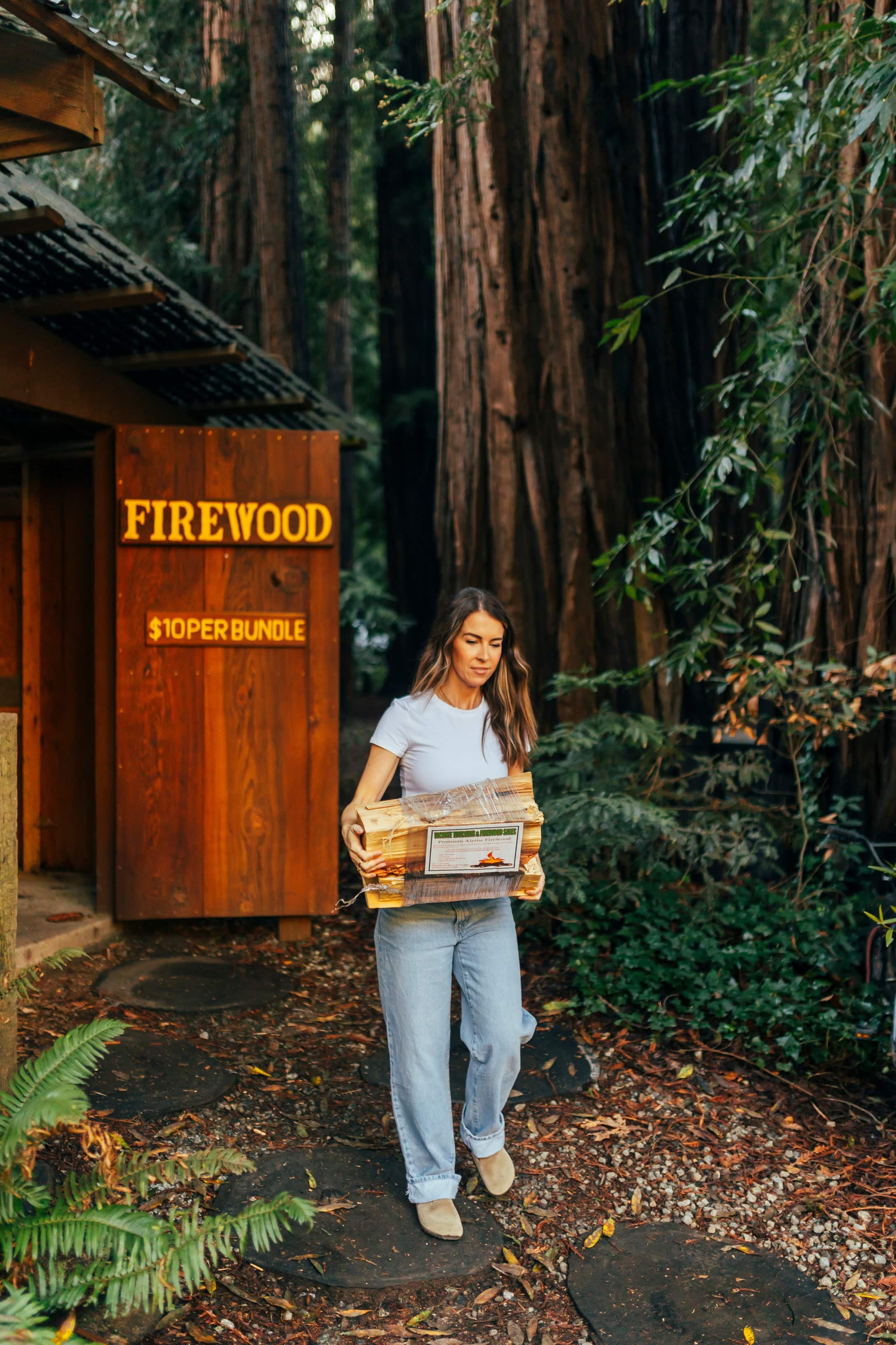 Big Sur campfire